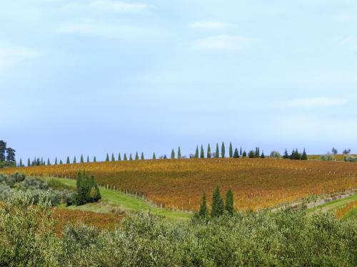 Agroturismo Podere Vignola