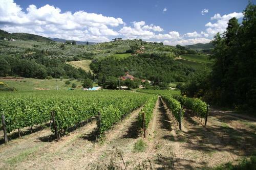 Agroturismo Podere Vignola