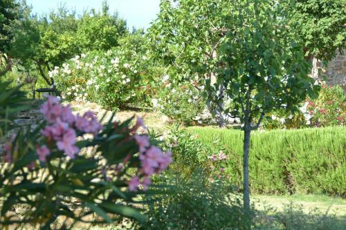 Agroturismo Podere Vignola