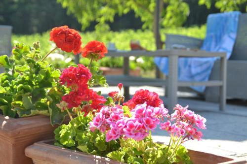 Agroturismo Podere Vignola