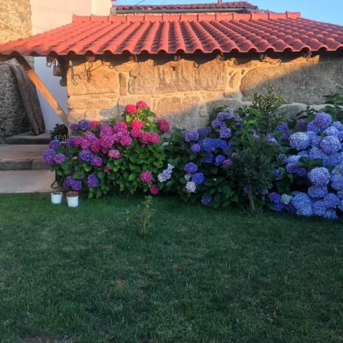 Agroturismo Casa Dos Edras