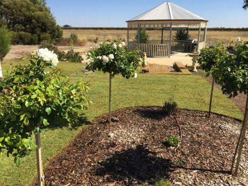 Barossa Vineyard Cottages