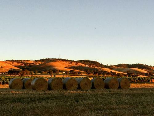 Barossa Vineyard Cottages