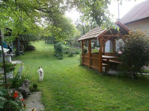 Apartamento Csik�sz Vend�gh�z