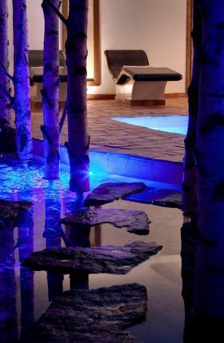 Hotel Hostellerie La Cheneaudi�re & Spa