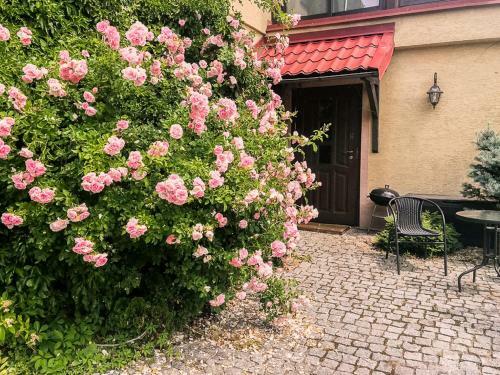 Apartamento Wroclaw