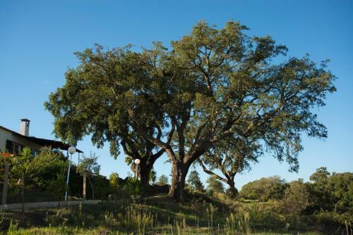 Agroturismo Monte Pedras Negras