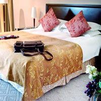 Royalton Hotel