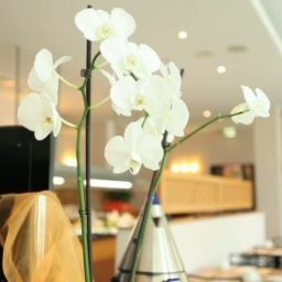 Intercityhotel Celle
