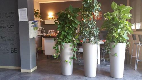 Bed & Breakfast Affittacamere Borgo Sabbionara