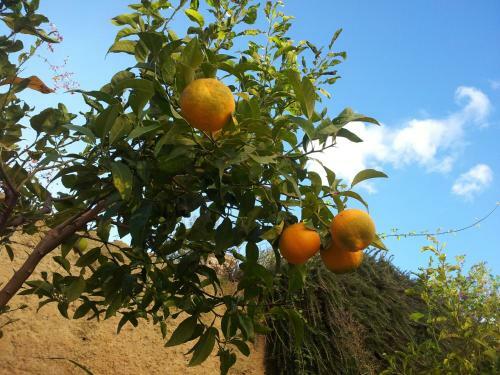Agroturismo Villa Pugliese