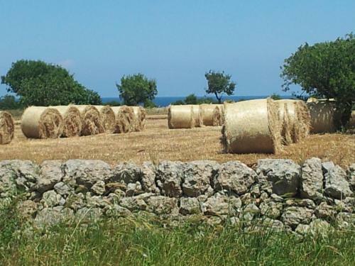 Agroturismo Villa Pugliese