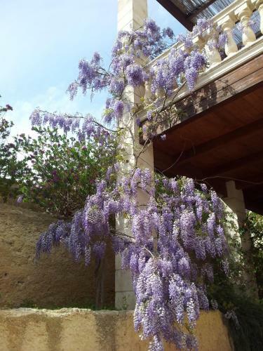 Agroturismo Villa Pugliese