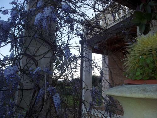 Agroturismo Villa Pugliese