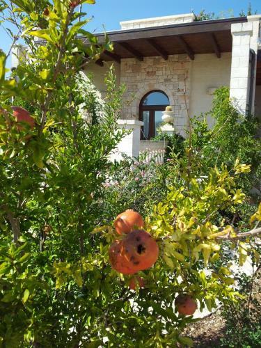 Agroturismo Villa Pugliese