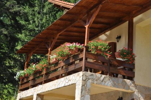 Hostal Casa Anca Boutique Hotel
