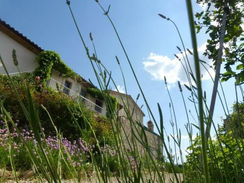 Agroturismo Casarciccia