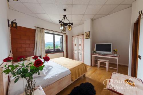 Hotel Bran Belvedere Residence