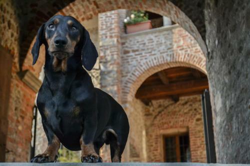 Bed & Breakfast Castello Di Cernusco Lombardone