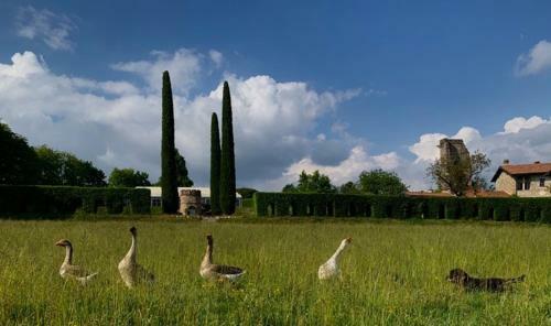 Bed & Breakfast Castello Di Cernusco Lombardone