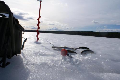 Lodge Finnskogen Turist & Villmarksenter