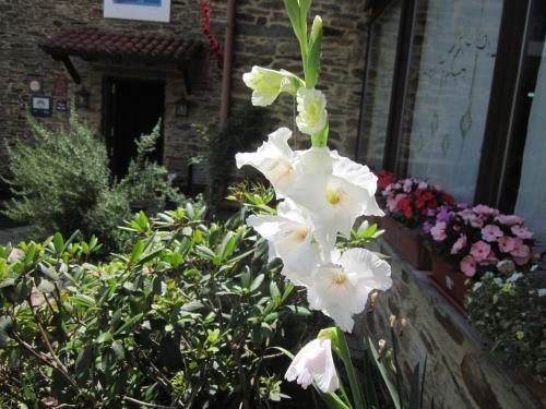 Agroturismo Casa Assumpta