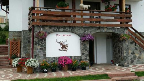 Hostal Vila Stefana Paltinis