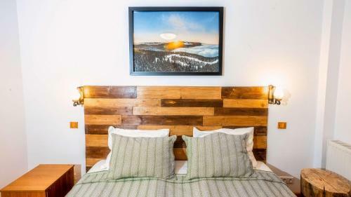 Hostal Vila Stefana Paltinis