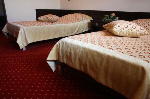 Hotel Wasik