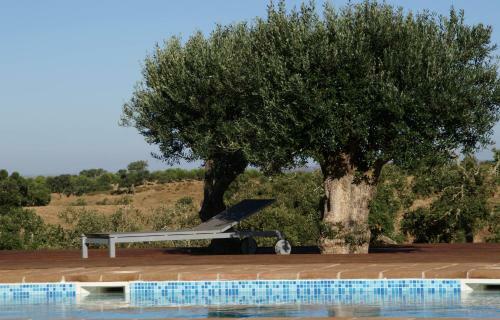 Hostal Cantar Do Grilo - Turismo Rural