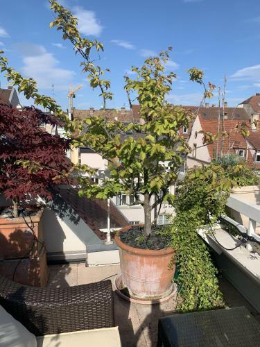 Bed & Breakfast Maison D'h�tes- Little Indonesia