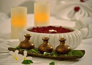 Hotel Park Plaza Faridabad