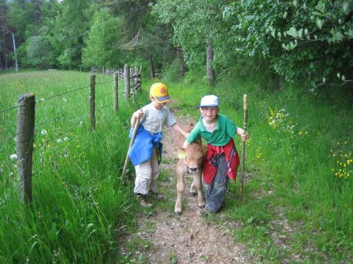 Agroturismo Schornhof