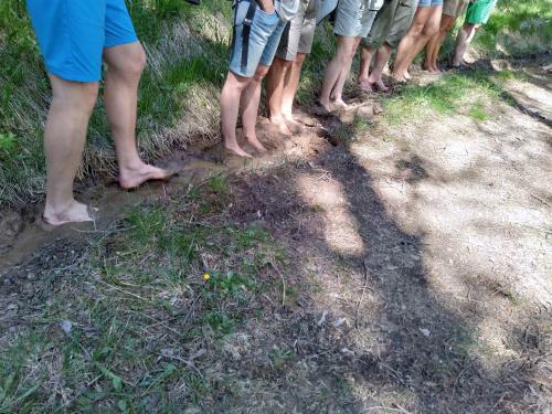 Agroturismo Schornhof