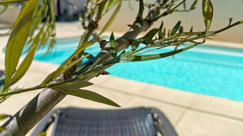 Apartamento Villa Reiala
