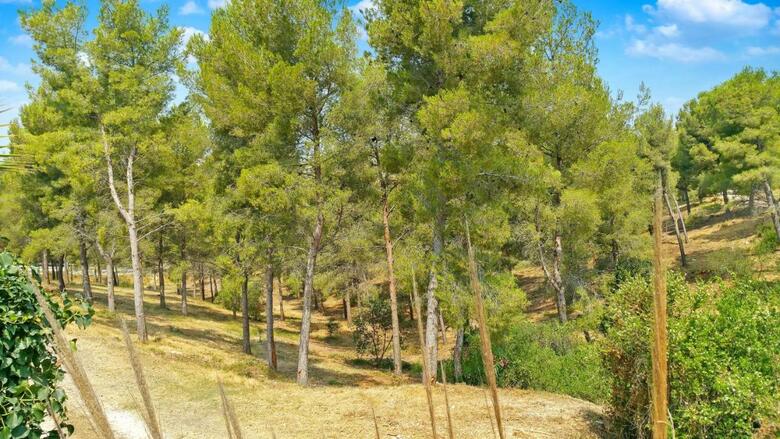 Apartamento Villa Reiala