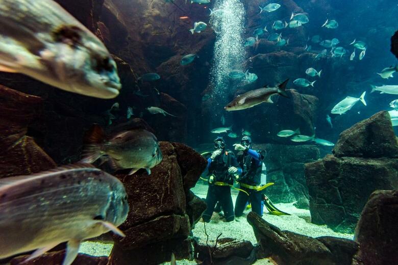 Aqua Natura Madeira Hotel