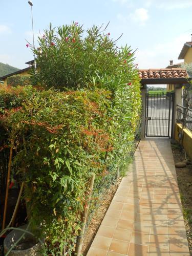 Bed & Breakfast Uva Bianca In Franciacorta