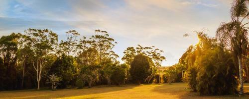 Malanda Lodge Motel