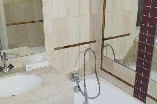 Hotel H�tel Restaurant Des Lys