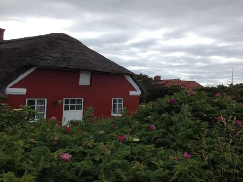 S�ndervig Camping & Cottages