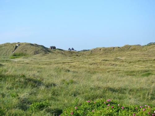 S�ndervig Camping & Cottages