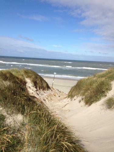S�ndervig Camping & Cottages