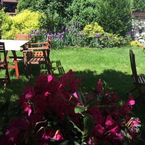 Hostal Wawabed Bed&breakfast