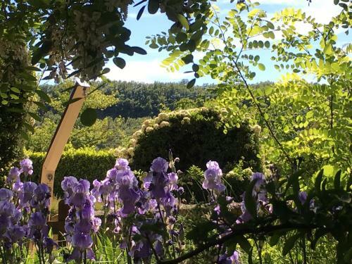 Logis Hotel Les Ch�nes