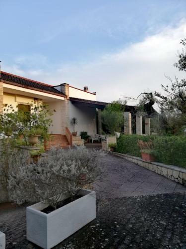 Contrada Macchia B&B