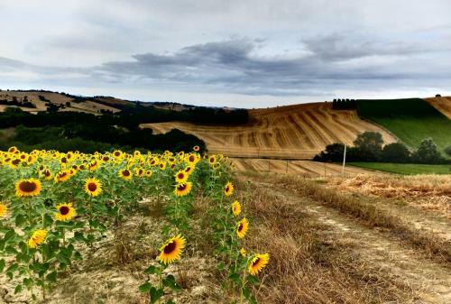 Agroturismo Piagge Del Sole