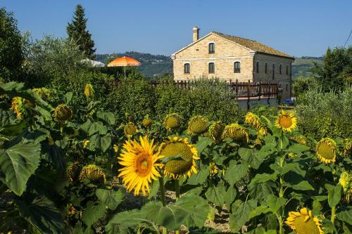 Agroturismo Piagge Del Sole