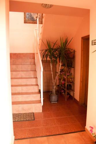 Hostal Pension Vlad Home