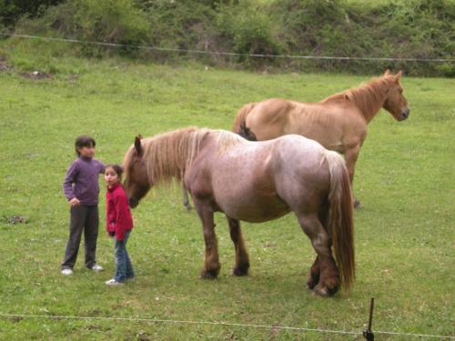 Agroturismo Casa Villamana